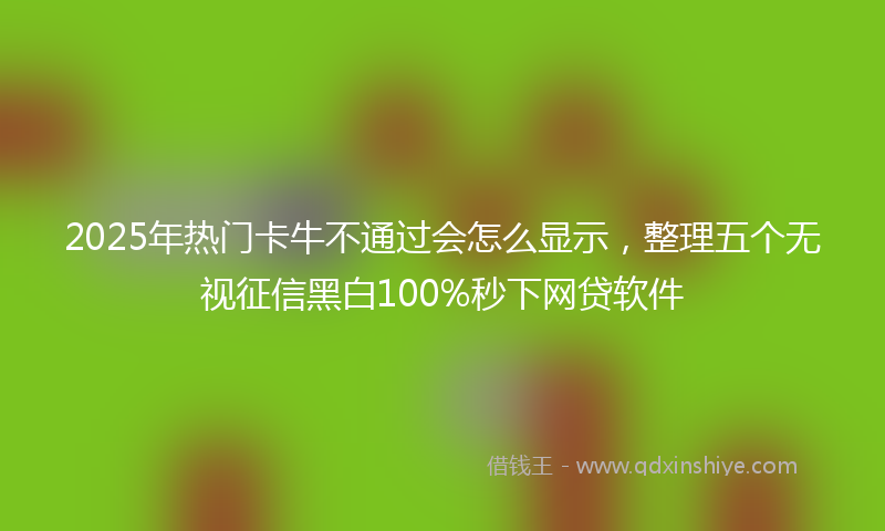 2025年热门卡牛不通过会怎么显示，整理五个无视征信黑白100%秒下网贷软件