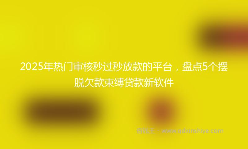 2025年热门审核秒过秒放款的平台，盘点5个摆脱欠款束缚贷款新软件