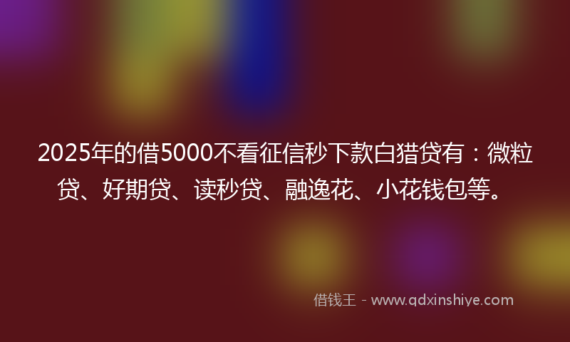 2025年的借5000不看征信秒下款白猎贷有：微粒贷、好期贷、读秒贷、融逸花、小花钱包等。