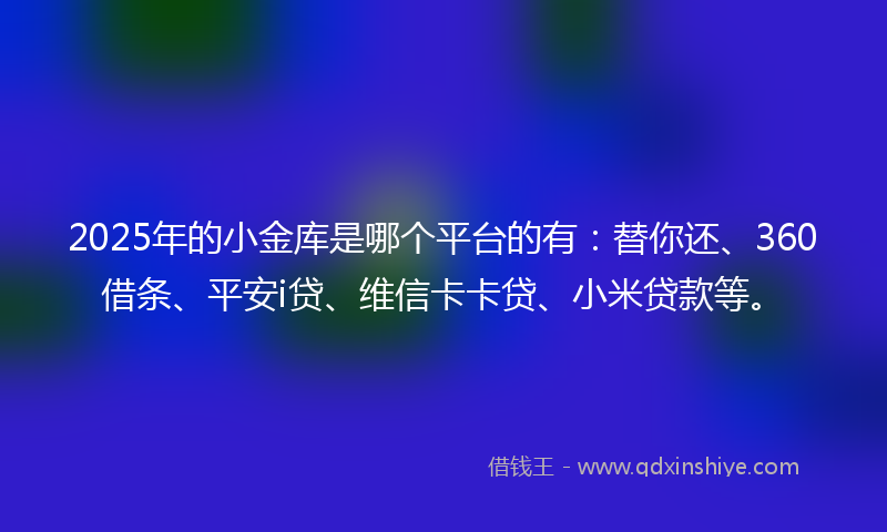 2025年的小金库是哪个平台的有：替你还、360借条、平安i贷、维信卡卡贷、小米贷款等。