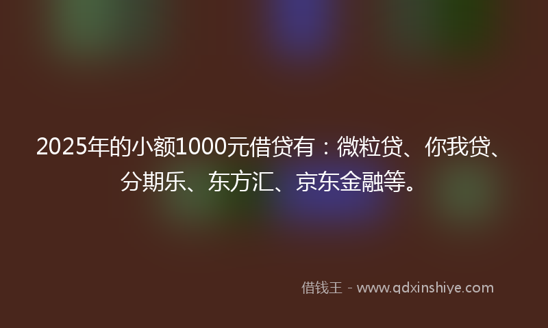 2025年的小额1000元借贷有：微粒贷、你我贷、分期乐、东方汇、京东金融等。