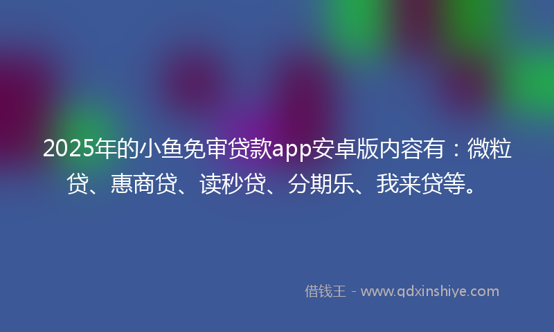 2025年的小鱼免审贷款app安卓版内容有：微粒贷、惠商贷、读秒贷、分期乐、我来贷等。