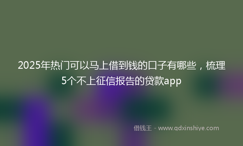 2025年热门可以马上借到钱的口子有哪些，梳理5个不上征信报告的贷款app