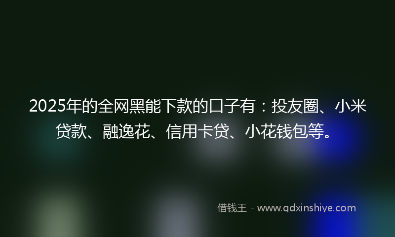 2025年的全网黑能下款的口子有：投友圈、小米贷款、融逸花、信用卡贷、小花钱包等。