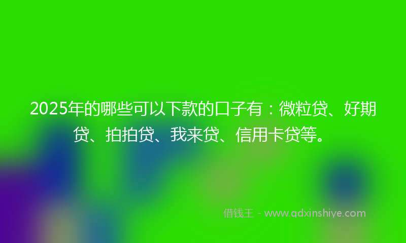 2025年的哪些可以下款的口子有：微粒贷、好期贷、拍拍贷、我来贷、信用卡贷等。