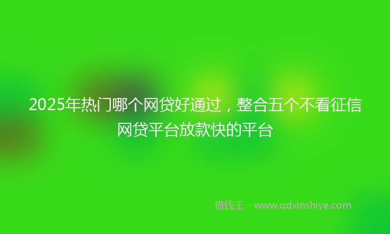 2025年热门哪个网贷好通过，整合五个不看征信网贷平台放款快的平台