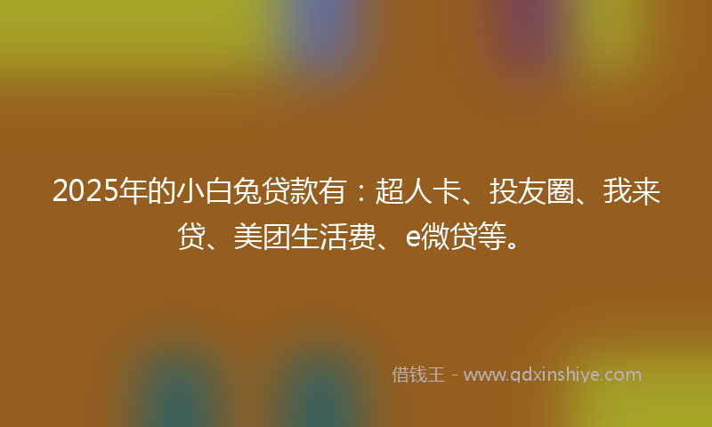 2025年的小白兔贷款有：超人卡、投友圈、我来贷、美团生活费、e微贷等。