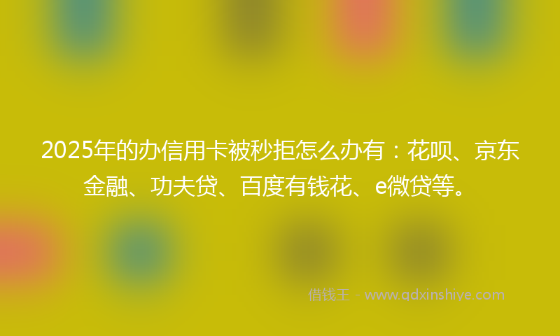 2025年的办信用卡被秒拒怎么办有：花呗、京东金融、功夫贷、百度有钱花、e微贷等。