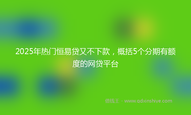 2025年热门恒易贷又不下款，概括5个分期有额度的网贷平台