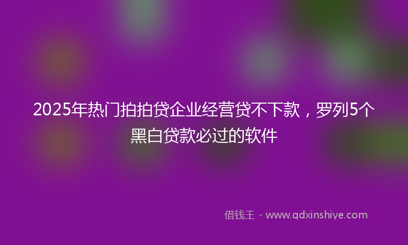 2025年热门拍拍贷企业经营贷不下款，罗列5个黑白贷款必过的软件