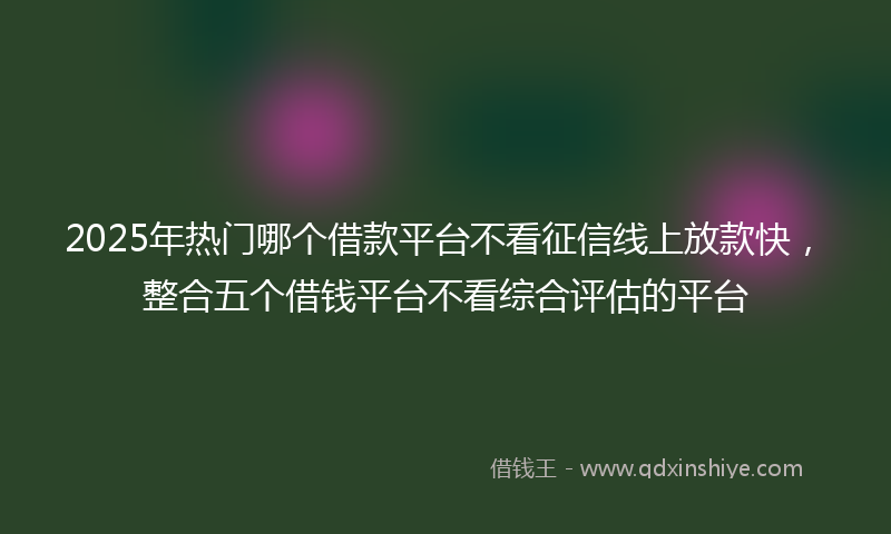 2025年热门哪个借款平台不看征信线上放款快，整合五个借钱平台不看综合评估的平台
