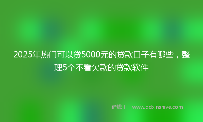 2025年热门可以贷5000元的贷款口子有哪些，整理5个不看欠款的贷款软件