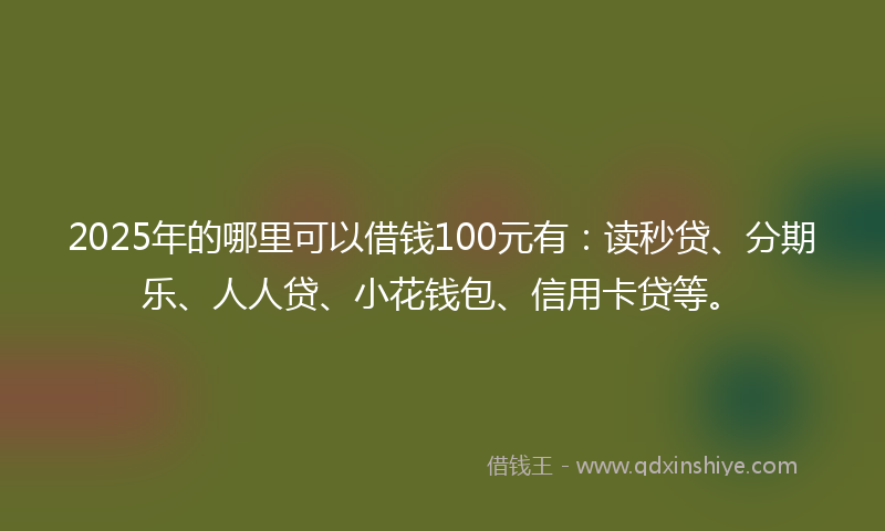 2025年的哪里可以借钱100元有：读秒贷、分期乐、人人贷、小花钱包、信用卡贷等。