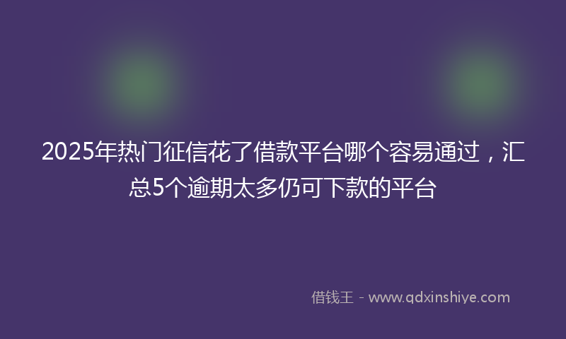 2025年热门征信花了借款平台哪个容易通过，汇总5个逾期太多仍可下款的平台