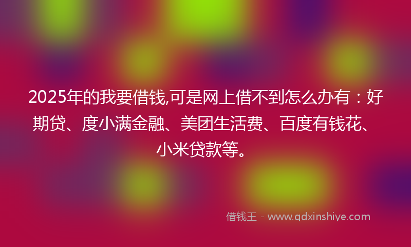 2025年的我要借钱,可是网上借不到怎么办有：好期贷、度小满金融、美团生活费、百度有钱花、小米贷款等。