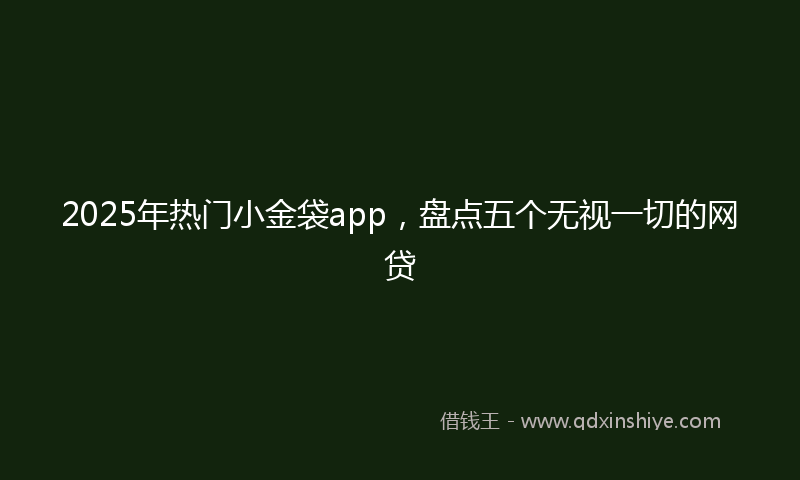 2025年热门小金袋app，盘点五个无视一切的网贷