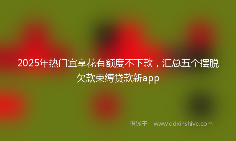 2025年热门宜享花有额度不下款，汇总五个摆脱欠款束缚贷款新app