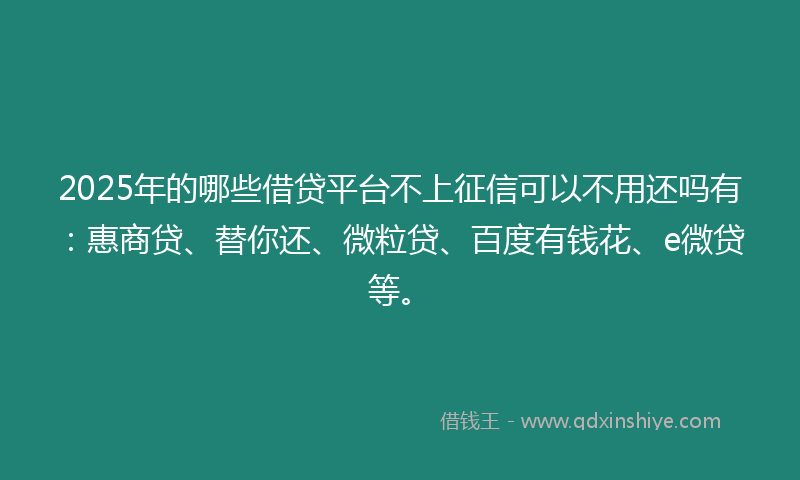 2025年的哪些借贷平台不上征信可以不用还吗有：惠商贷、替你还、微粒贷、百度有钱花、e微贷等。