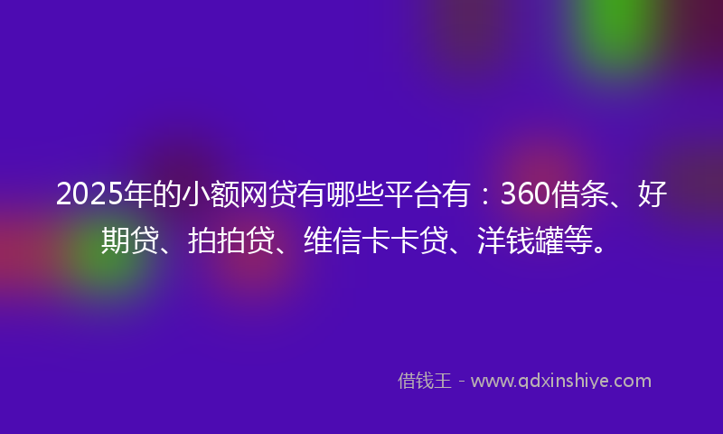 2025年的小额网贷有哪些平台有：360借条、好期贷、拍拍贷、维信卡卡贷、洋钱罐等。