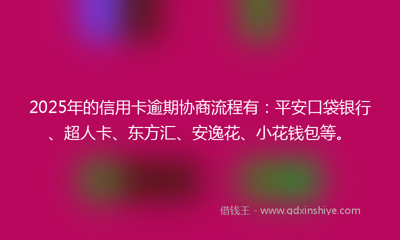 2025年的信用卡逾期协商流程有：平安口袋银行、超人卡、东方汇、安逸花、小花钱包等。