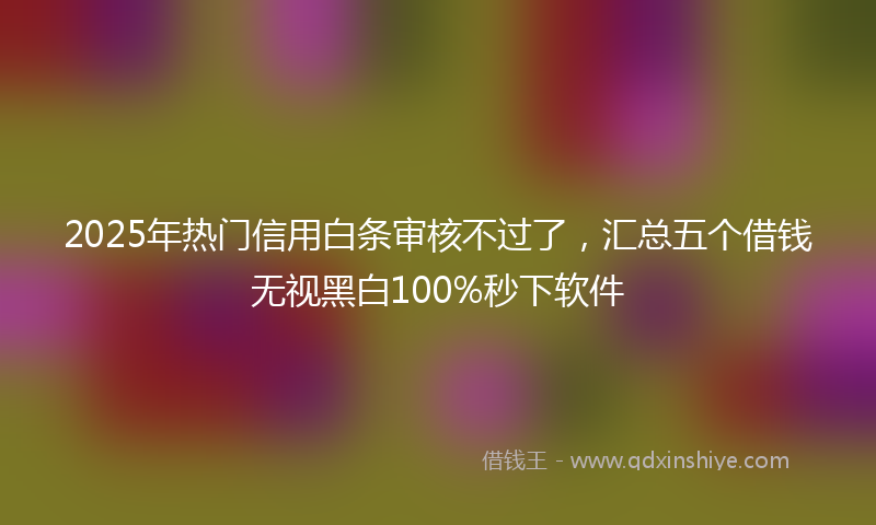 2025年热门信用白条审核不过了，汇总五个借钱无视黑白100%秒下软件
