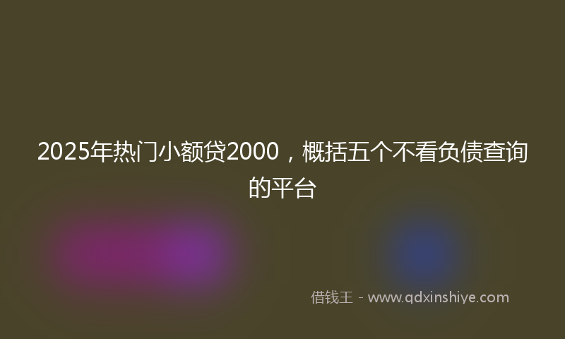 2025年热门小额贷2000，概括五个不看负债查询的平台