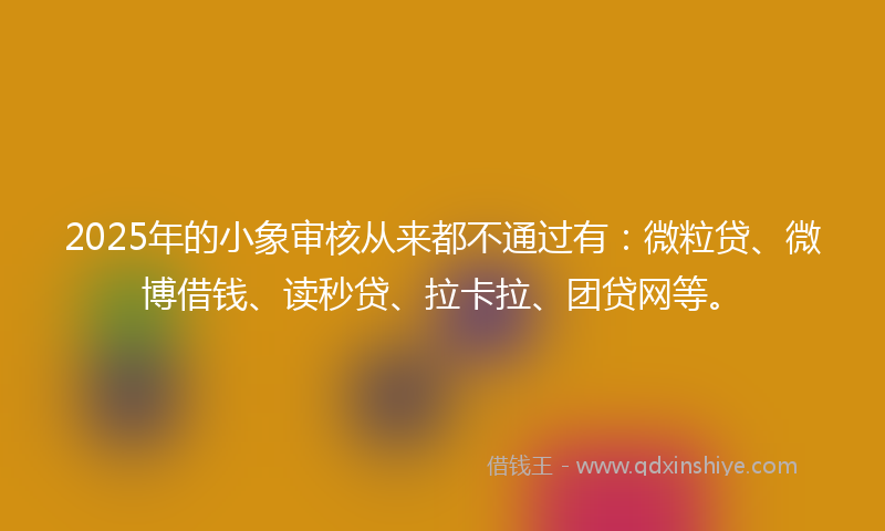 2025年的小象审核从来都不通过有：微粒贷、微博借钱、读秒贷、拉卡拉、团贷网等。