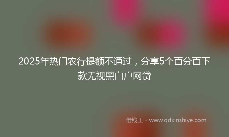 2025年热门农行提额不通过，分享5个百分百下款无视黑白户网贷