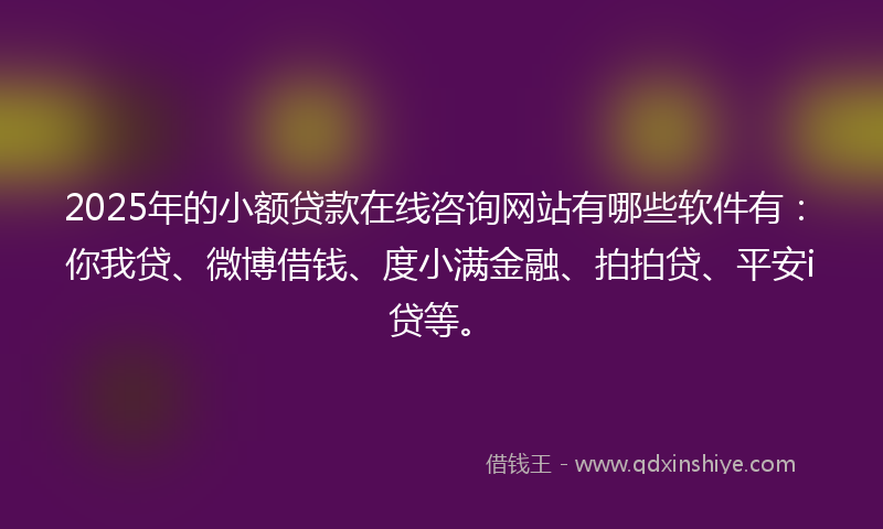2025年的小额贷款在线咨询网站有哪些软件有：你我贷、微博借钱、度小满金融、拍拍贷、平安i贷等。