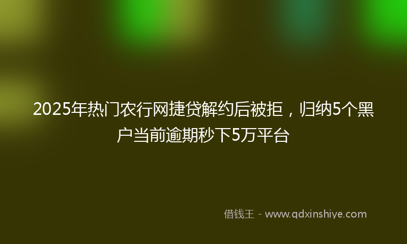 2025年热门农行网捷贷解约后被拒，归纳5个黑户当前逾期秒下5万平台