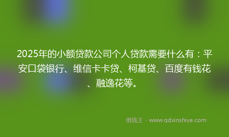 2025年的小额贷款公司个人贷款需要什么有：平安口袋银行、维信卡卡贷、柯基贷、百度有钱花、融逸花等。