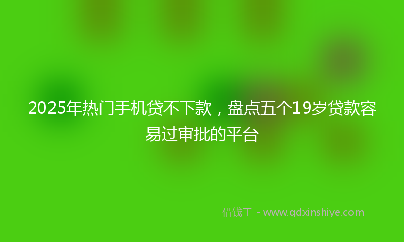 2025年热门手机贷不下款，盘点五个19岁贷款容易过审批的平台