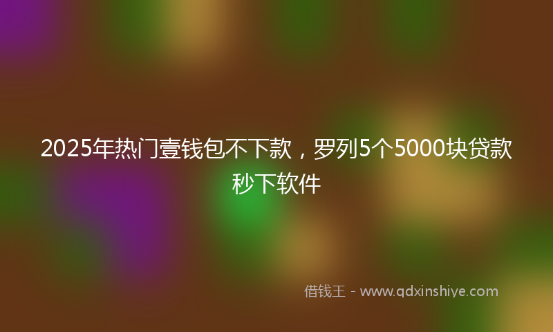 2025年热门壹钱包不下款，罗列5个5000块贷款秒下软件
