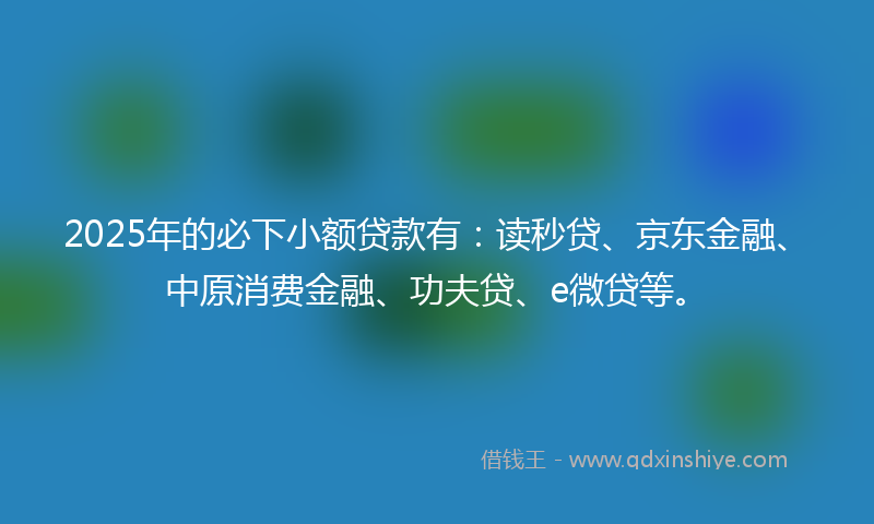 2025年的必下小额贷款有：读秒贷、京东金融、中原消费金融、功夫贷、e微贷等。