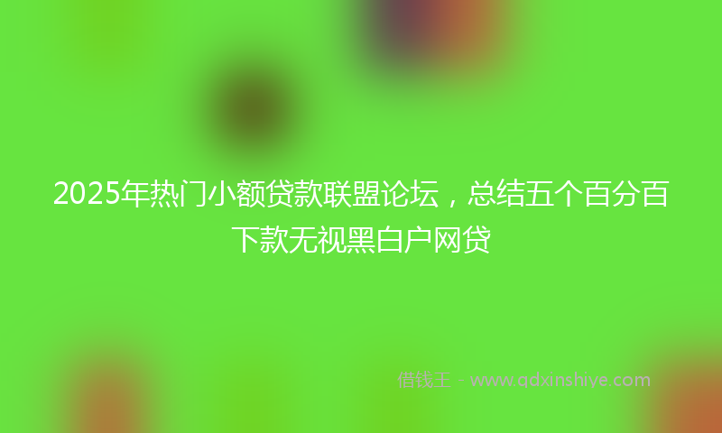 2025年热门小额贷款联盟论坛，总结五个百分百下款无视黑白户网贷