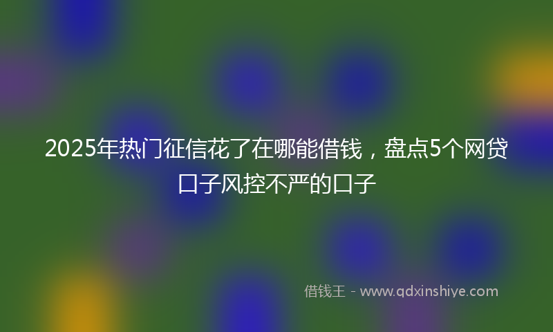2025年热门征信花了在哪能借钱，盘点5个网贷口子风控不严的口子