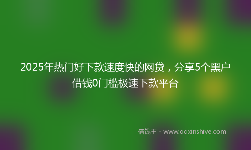 2025年热门好下款速度快的网贷，分享5个黑户借钱0门槛极速下款平台