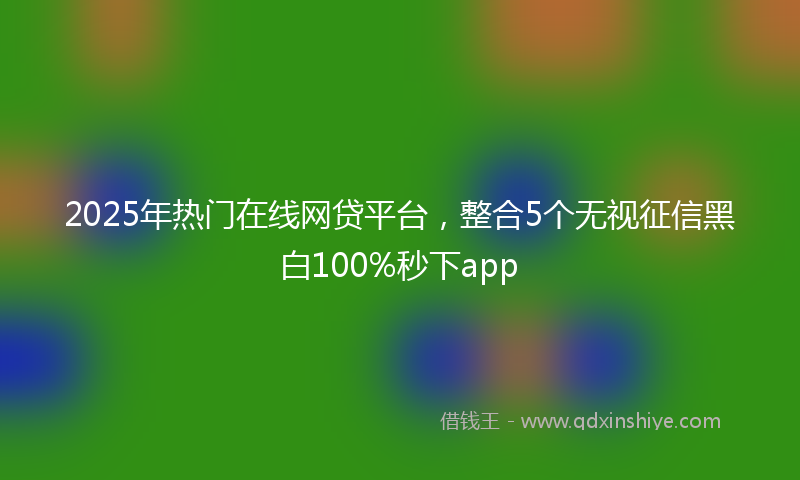 2025年热门在线网贷平台，整合5个无视征信黑白100%秒下app