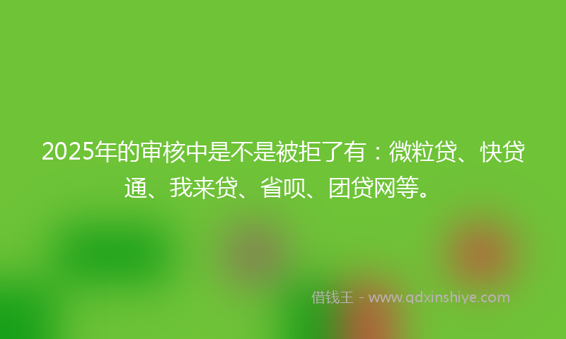 2025年的审核中是不是被拒了有：微粒贷、快贷通、我来贷、省呗、团贷网等。