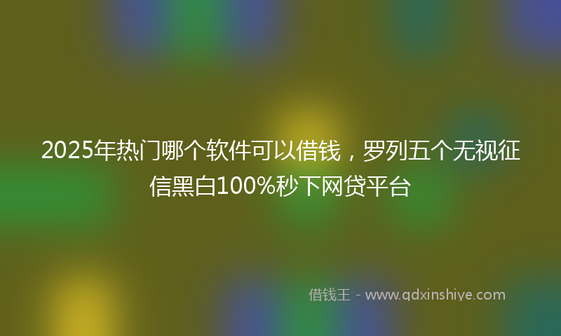 2025年热门哪个软件可以借钱，罗列五个无视征信黑白100%秒下网贷平台