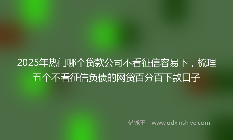 2025年热门哪个贷款公司不看征信容易下，梳理五个不看征信负债的网贷百分百下款口子