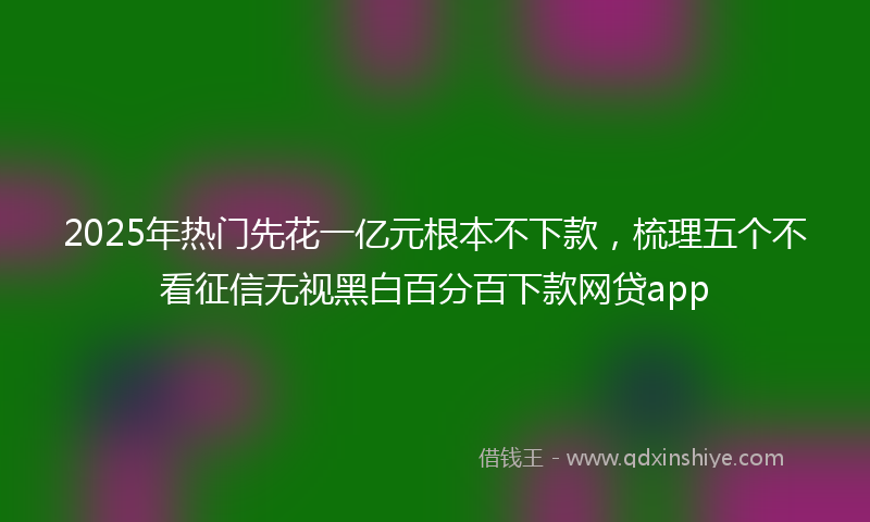 2025年热门先花一亿元根本不下款，梳理五个不看征信无视黑白百分百下款网贷app