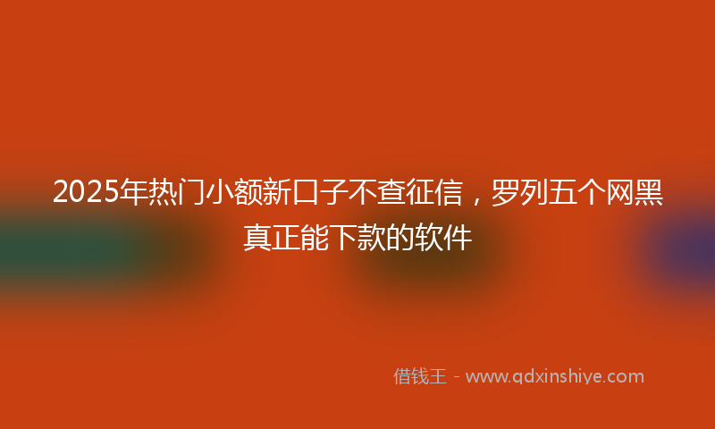 2025年热门小额新口子不查征信，罗列五个网黑真正能下款的软件