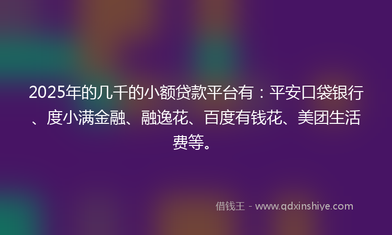 2025年的几千的小额贷款平台有：平安口袋银行、度小满金融、融逸花、百度有钱花、美团生活费等。