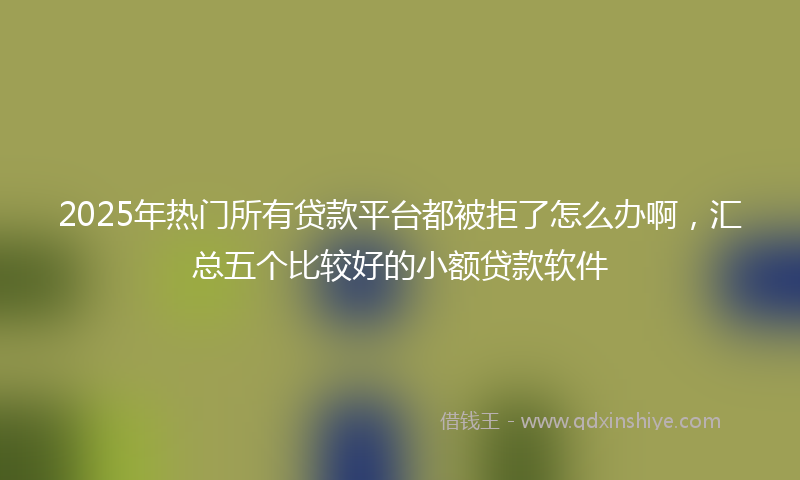 2025年热门所有贷款平台都被拒了怎么办啊，汇总五个比较好的小额贷款软件