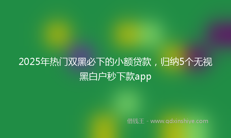 2025年热门双黑必下的小额贷款，归纳5个无视黑白户秒下款app