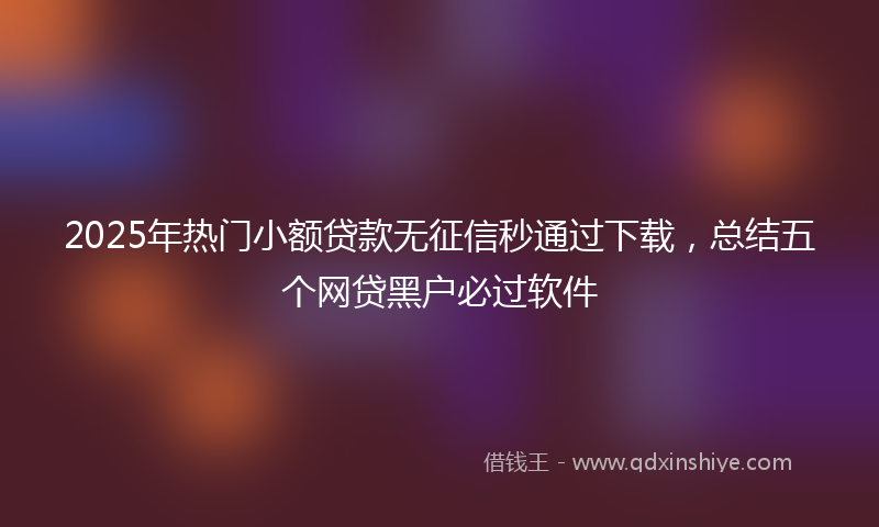2025年热门小额贷款无征信秒通过下载，总结五个网贷黑户必过软件