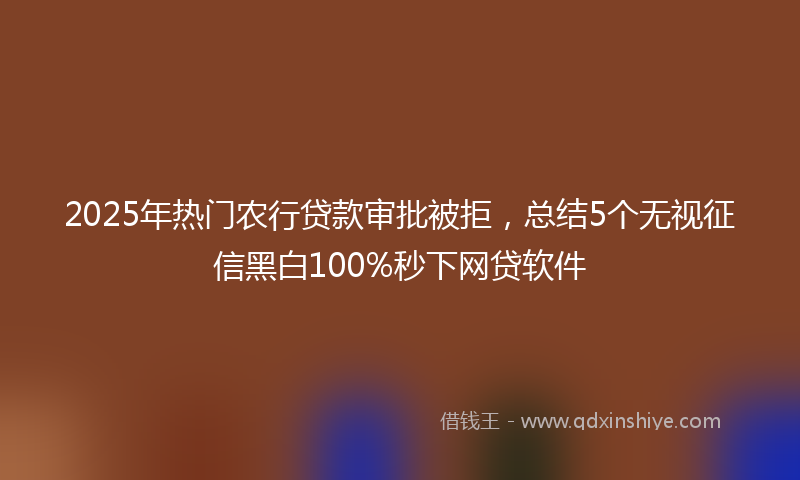 2025年热门农行贷款审批被拒，总结5个无视征信黑白100%秒下网贷软件