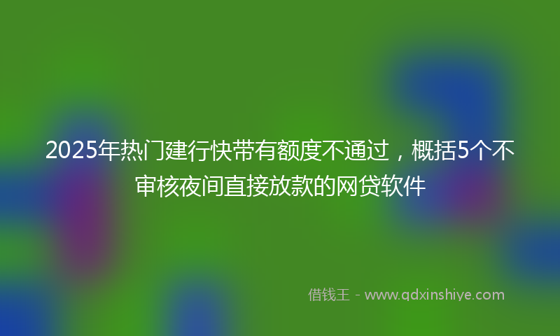 2025年热门建行快带有额度不通过，概括5个不审核夜间直接放款的网贷软件