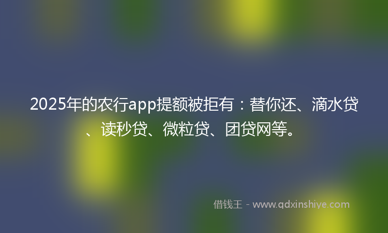 2025年的农行app提额被拒有：替你还、滴水贷、读秒贷、微粒贷、团贷网等。
